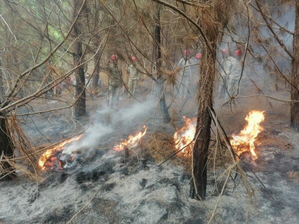 Este Fin De Semana Se Registraron Dos Incendios Forestales En El Mbito